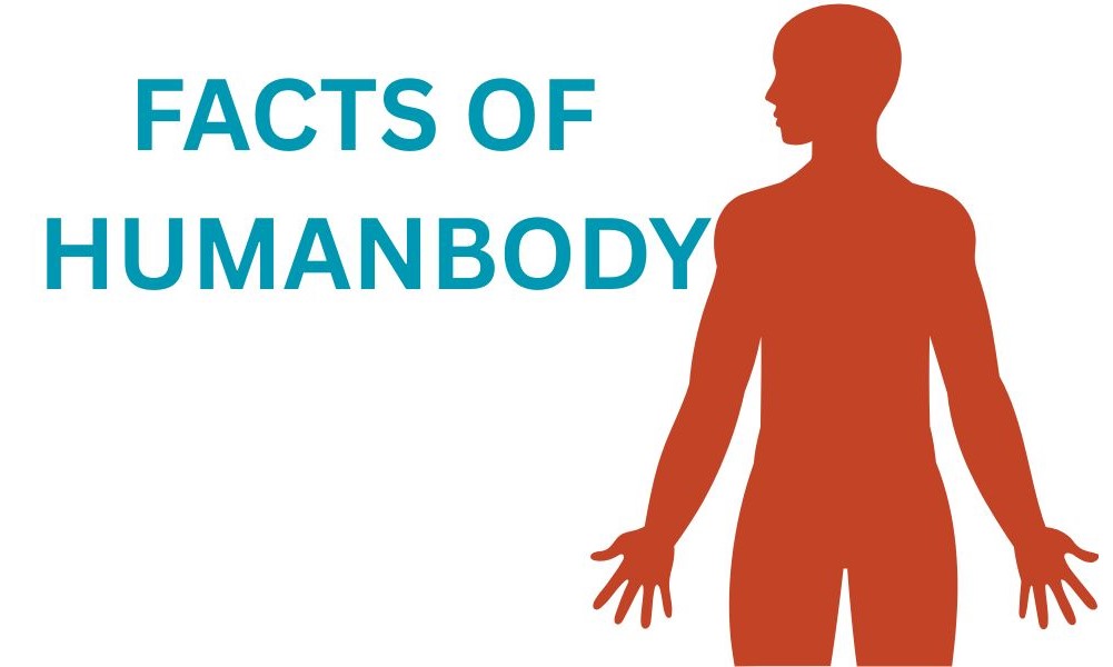 FACTS OF HUMANBODY